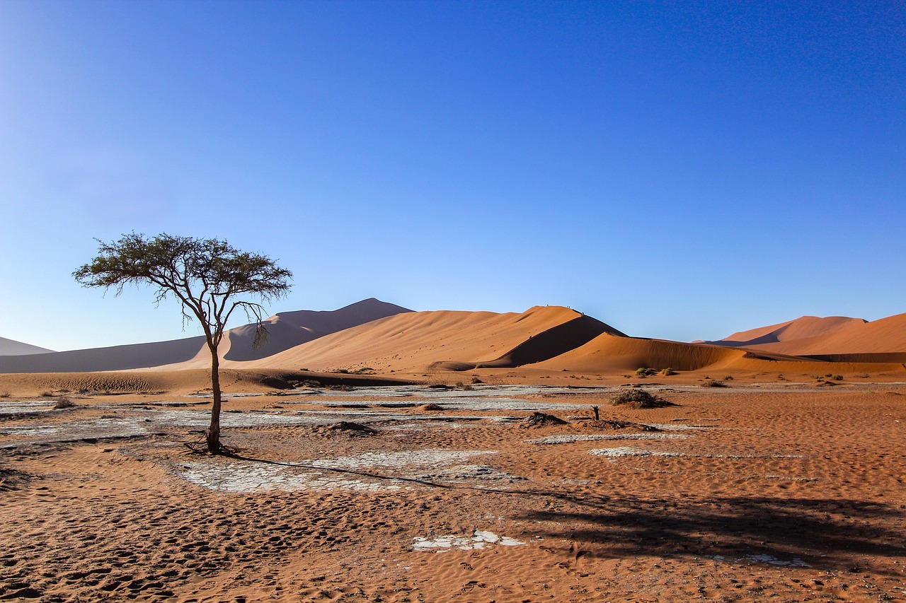 namibia-6785861_1280