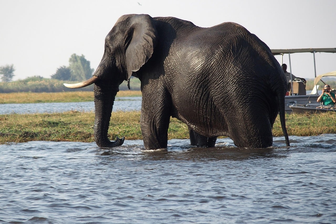 Chobe Nationalpark — Namibia Buddy Reise