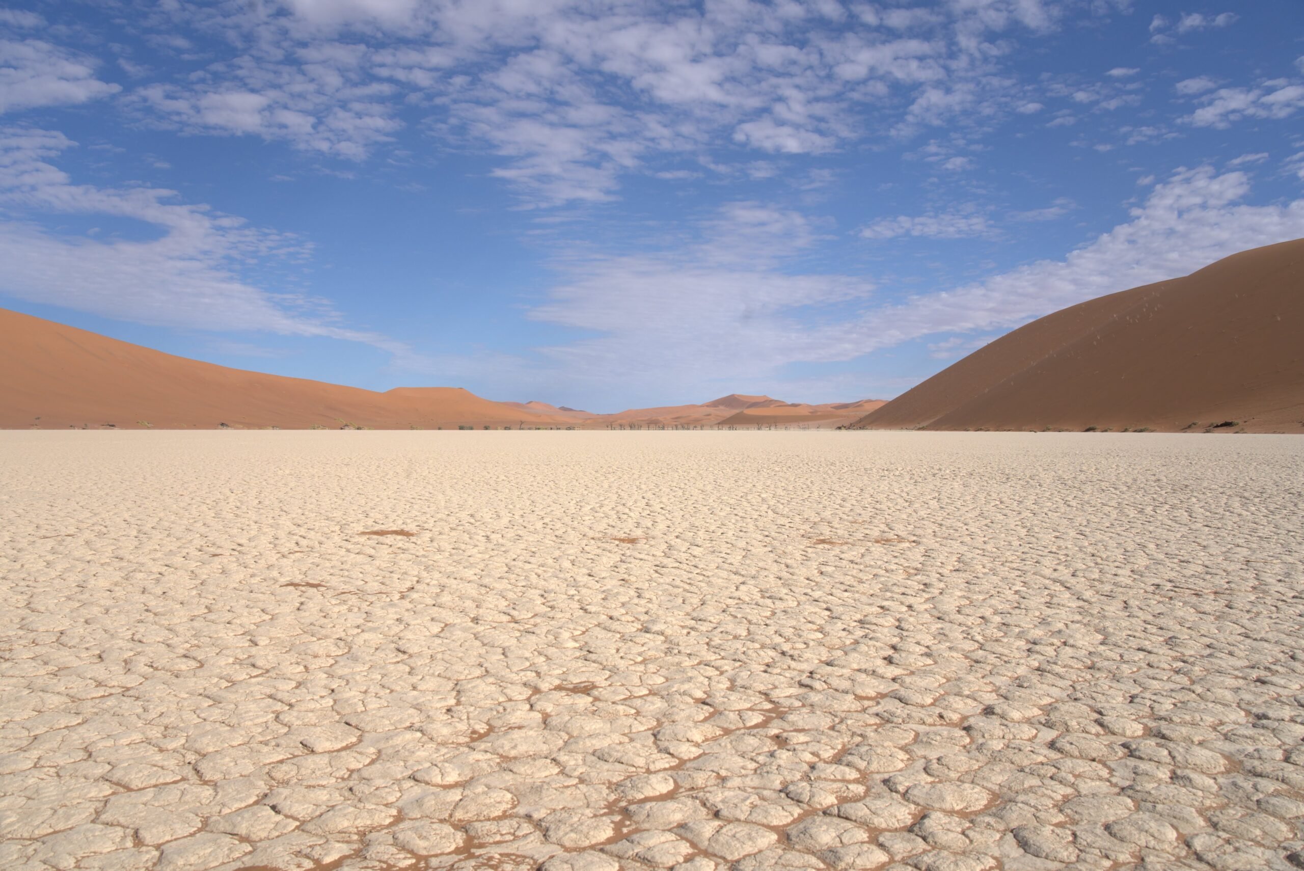deadvlei-landscape
