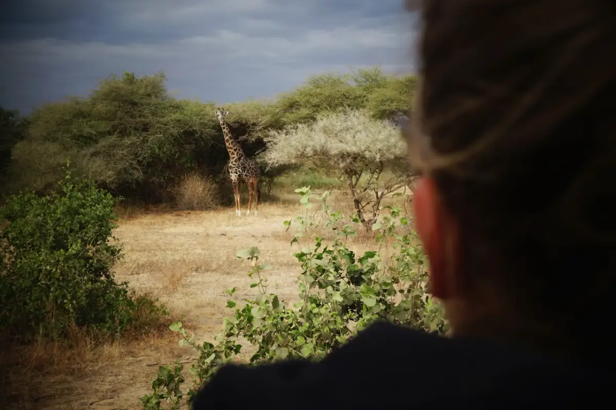 Lake Manyara — Namibia Buddy Reise