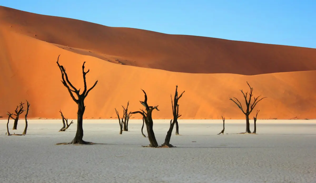 Roger Brown — Namibia Buddy Reise