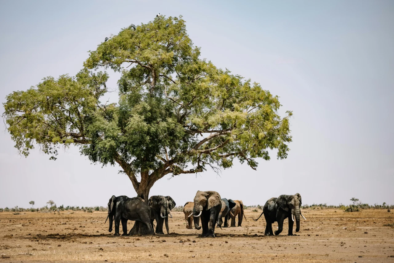 Roman Odintsov — Namibia Buddy Reise