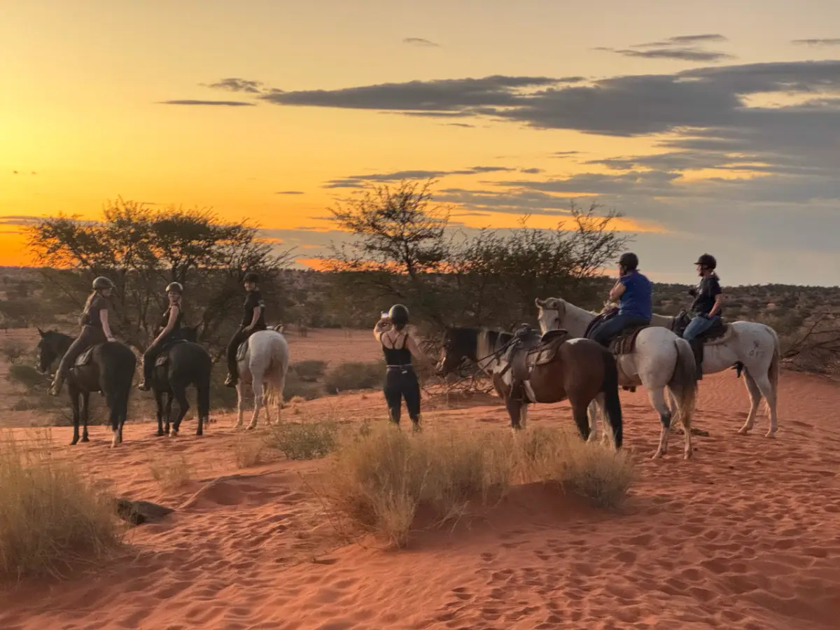 Wild Horses Namibia — Namibia Buddy Reise
