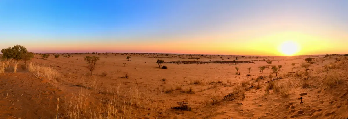 Sonnenuntergang über den roten Dünen der Kalahari bei Kalkrand